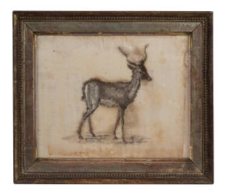 Needlework picture of a black buck
Martha Washington (Maker)
Silk embroidery (printwork) on s ...