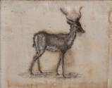Needlework picture of a black buck
Martha Washington (Maker)
Silk embroidery (printwork) on s ...