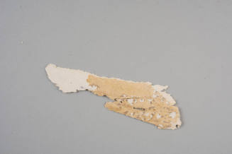 Wallpaper fragment,
c.1830-1840,
Block-printed on paper